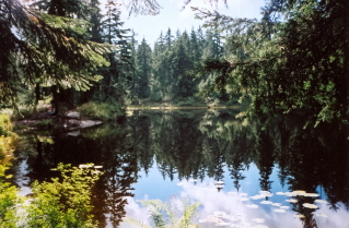 View of Lindsay Lake 2004-10.